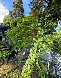 JALAN JAMAL (D15), Detached #575929591